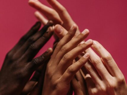 Diversity hands